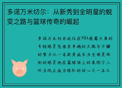 多诺万米切尔：从新秀到全明星的蜕变之路与篮球传奇的崛起