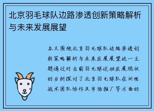 北京羽毛球队边路渗透创新策略解析与未来发展展望