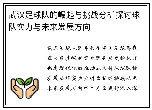 武汉足球队的崛起与挑战分析探讨球队实力与未来发展方向